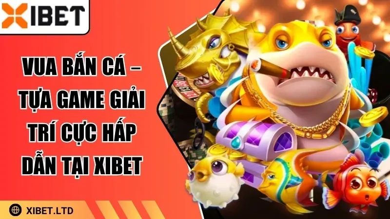 Tóm tắt và triển vọng